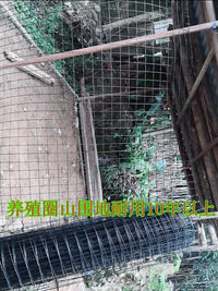 Heavy-Duty Plastic Garden Fence Mesh for Poultry and Vegetable Patch Enclosures