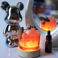 Natural Crystal Diffuser Stone with Essential Oil and Dried Flowers, Home Decor and Gift