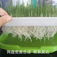 Seed Sprouting Tray Hydroponic Growing Kit for Microgreens and Bean Sprouts