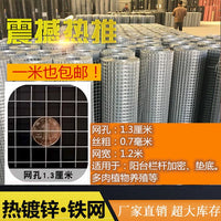 Galvanized Welded Wire Mesh Fence for Farm and Garden Protection, Fish Pond Isolation