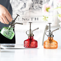 Vintage Mini Glass Plant Mister with Pump for Indoor Gardening and Potted Plants