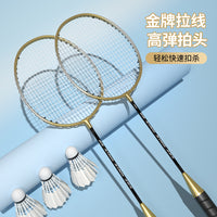 Iron Alloy Badminton Racket Set for Beginners and Training - Factory Direct Wholesale