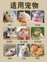 Hamster Cage Acrylic Transparent Anti-Bite Luxury Villa Large Pet Habitat