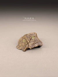 Miniature Landscape Simulation Rock and Driftwood Ornaments for Micro-Landscaping