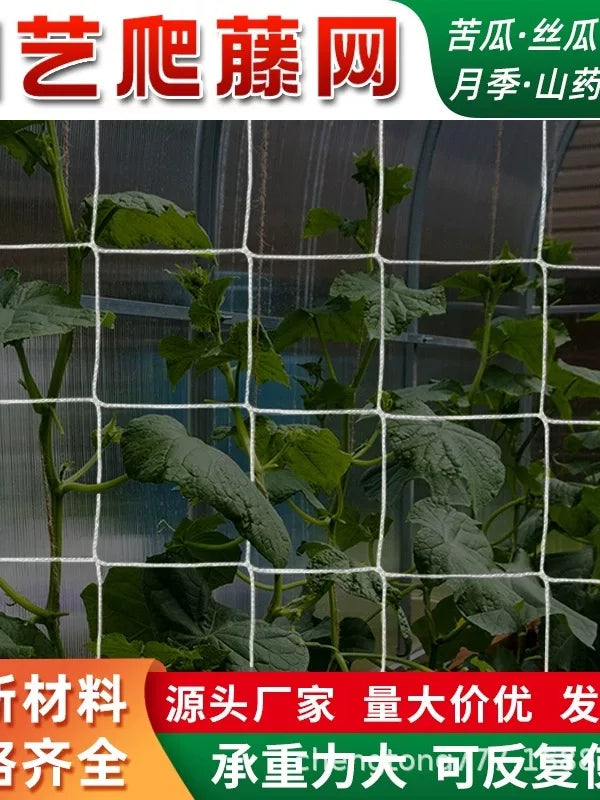 Plant Trellis Netting for Climbing Vines, Fruits, and Vegetables - Garden Support Mesh for Cucumbers, Gourds, Roses
