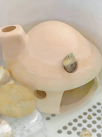 Cute Mushroom Turtle Hideout Cave for Reptiles and Fish, Decorative Aquarium Ornament