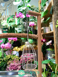 Mini Birdcage Stroller Garden Hanging Iron Art Decoration Courtyard Sundries Ornament