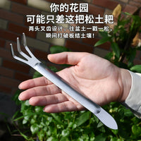Stainless Steel Bonsai Rake Garden Tool for Soil Loosening and Weeding