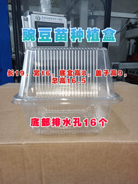 Disposable Plastic Seedling Trays with Lids for Hydroponic Pea Sprouts & Microgreens, 1000-Pack