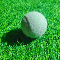 Beginner Training White Tennis Ball with Elastic Rope for Practice