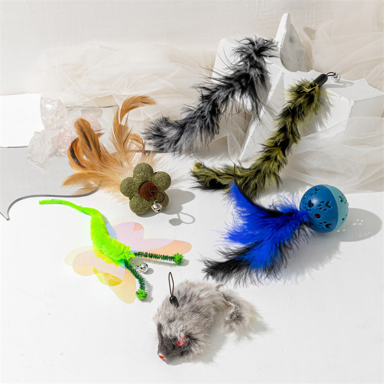 Cat Teaser Wand with Feather Refills and Extendable Rods