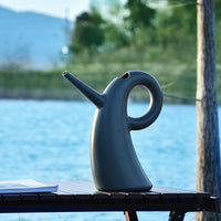 Long Spout Watering Can for Indoor Plants & Gardening