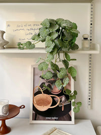 Artificial Begonia Leaf Hanging Vine for Home and Event Decor