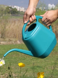 Long Spout Plastic Watering Can for Indoor & Outdoor Plants, Garden & Vegetable Watering Pot