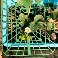 Square Strawberry Support Frame Garden Stand Anti-Toppling Fruit Holder Gardening Supplies Strawberry Planting Support Rack