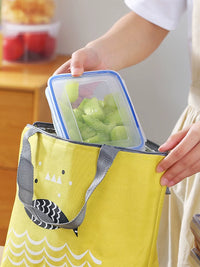 Food Grade Microwave Safe Food Storage Containers with Lids - Leakproof Plastic Bento Boxes for Fruit & Meals