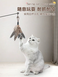 Cat Teaser Wand Toy with Feather Refills and Bell for Kittens and Cats