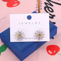 White PVC Earring Display Cards with Hanging Hooks for Jewelry Packaging