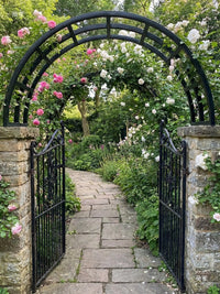 European Iron Archway Garden Trellis for Climbing Plants