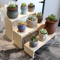 Wooden Display Stand for Small Potted Plants, Teacups, and Collectibles - 12cm Width