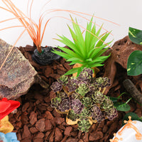 Artificial Succulent Reptile Terrarium Decor Plant