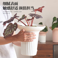 Large Breathable Orchid & Succulent Planter Pot with Drainage Base for Home & Balcony