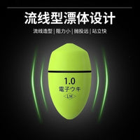 Luminous Fishing Float Set with Battery and Sinker for Sea Rods