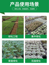Large 72-Cell Seedling Starter Trays for Vegetable and Wheat Sprouts