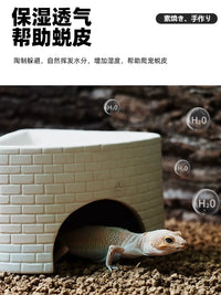 Reptile Hideout and Humidifying Cave for Lizards, Spiders, and Snakes