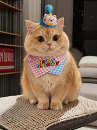 Pet Birthday Bandana and Hat Set for Cats and Small Dogs
