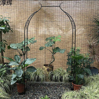Vintage European Style Metal Garden Arch for Climbing Plants, Roses, and Vines