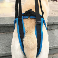 Pet Dog Rear Leg Support Harness for Injury Rehabilitation & Mobility Aid