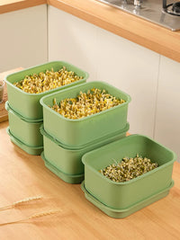 3-Pack Seed Sprouting Trays for Hydroponic Growing, Food-Grade Bean Sprout Germination Kit