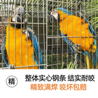 Large Stainless Steel Bird Cage Outdoor Rainproof Sunscreen Parrot Cockatiel Aviary Villa