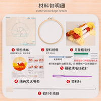 Christmas Punch Needle Embroidery Kit for Beginners with Tools and Yarn