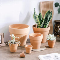 Terracotta Clay Plant Pots Breathable for Succulents and Orchids