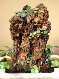 Natural Absorbent Stone Mountain Ornament for Fish Tank Landscaping and Bonsai