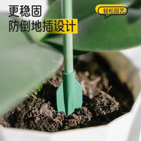 Adjustable Plant Support Stakes for Tomatoes, Cucumbers, and Climbing Vines