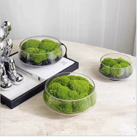 Large Mouth Clear Glass Hydroponic Terrarium Vase for Moss Micro Landscape and Artificial Floral Decor