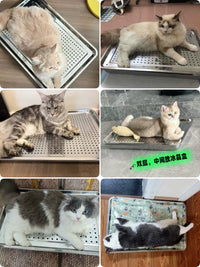 Pet Cooling Bed with Ice Pack for Cats, Dogs, Hamsters, Rabbits, Chinchillas