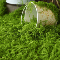 Artificial Moss Mat for Landscaping and Decor