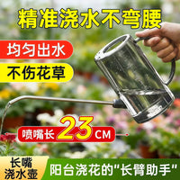 Stainless Steel Long Spout Watering Can for Indoor Plants & Garden, 1.5L