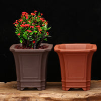 Mini Zisha Clay Square Planter for Succulents & Bonsai, Desktop Decorative Pot