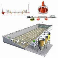Automatic Poultry Feeder and Drinker System for Geese and Ducks