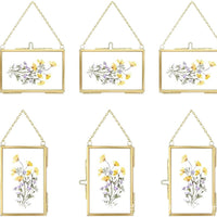 3.5x2.5 Inch Brass Hanging Glass Photo Frame for Pressed Flowers and Art