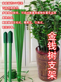 Plant Support Stakes for Orchids and Potted Plants, Garden Flower Stand Anti-Toppling Fixator
