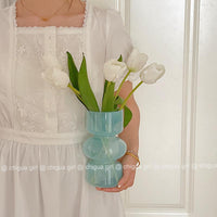 Nordic Retro Glass Vase for Hydroponic & Floral Arrangements, Desktop Decor
