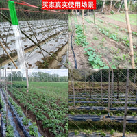 Garden Trellis Netting for Climbing Plants, Cucumber, Loofah, Bitter Gourd, Yam, and Passion Fruit