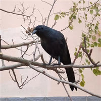 Realistic Feathered Crow Halloween Cosplay Prop Garden Ornament