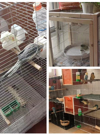 Galvanized Welded Wire Mesh Fence for Animal Enclosures and DIY Cages